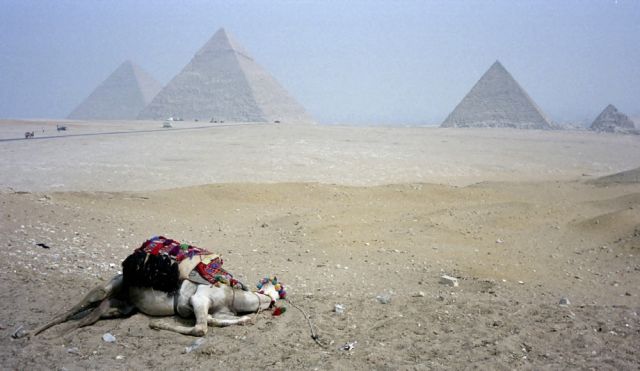Die Pyramiden von Gizeh von Süden aus gesehen Die Pyramiden von Gizeh von Süden aus gesehen
