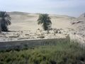 Sakkara oder Saqqara - die Nekropole beginnt direkt an der Westkante der Wüste