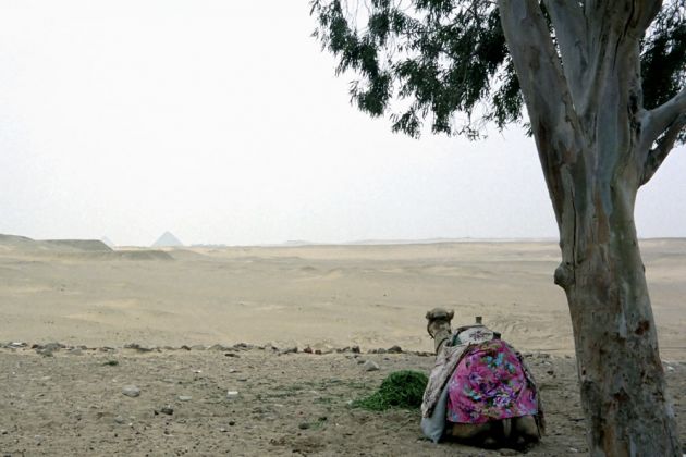 Die Pyramiden von Abusir aus der Zeit der 5. Dynastie Die Pyramiden von Abusir aus der Zeit der 5. Dynastie
