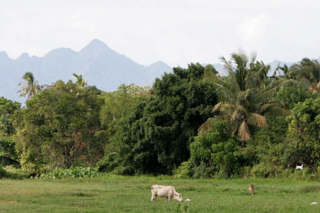 Landschaft bei Pantai Cenang - Langkawi, Malaysia Landschaft bei Pantai Cenang - Langkawi, Malaysia