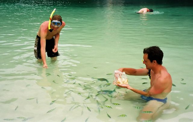 Fische füttern am Hong Island Beach im Than Bok Khorani Nationalpark - eine Insel-Tour ab Ao Nang