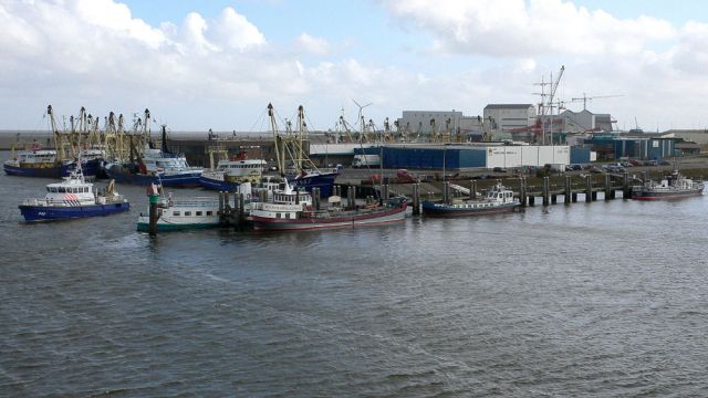 Der Nieuwe Vissershaven - der Fischereihafen von Harlingen, Friesland Der Nieuwe Vissershaven - der Fischereihafen von Harlingen, Friesland