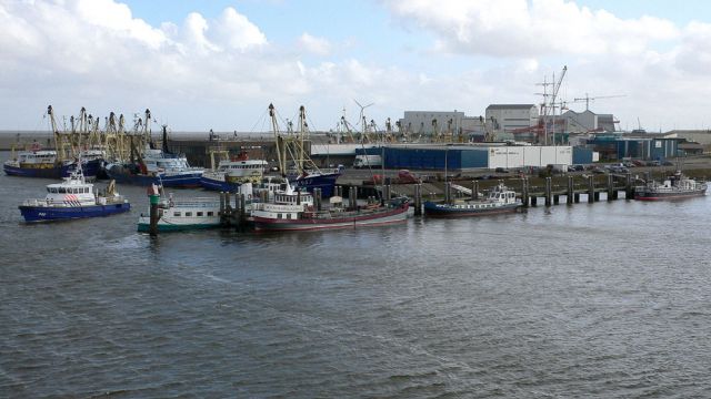 Der Nieuwe Vissershaven - der Fischereihafen von Harlingen, Friesland