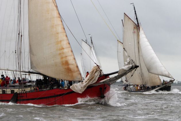 Das Brandaris Race - die traditionelle Regatta der historischen Segler zwischen Harlingen und Terschelling Das Brandaris Race - die traditionelle Regatta der historischen Segler zwischen Harlingen und Terschelling