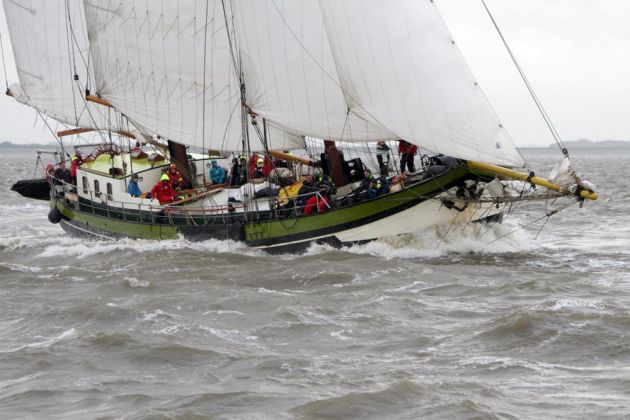 Das Brandaris Race - die traditionelle Regatta der historischen Segler zwischen Harlingen und Terschelling Das Brandaris Race - die traditionelle Regatta der historischen Segler zwischen Harlingen und Terschelling