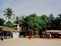 Goa - Arambol Beach