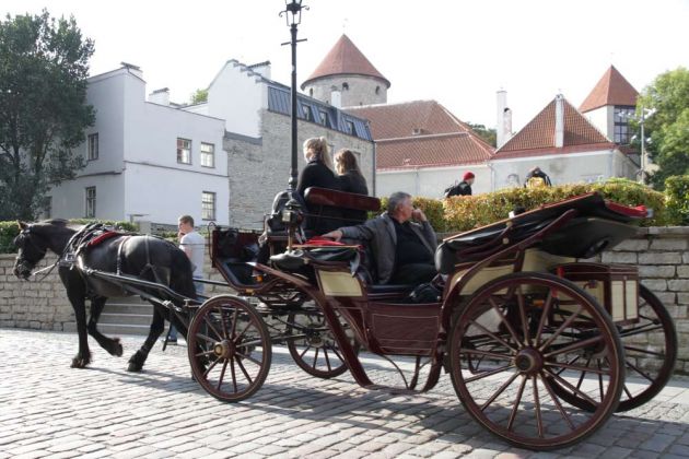 Tallinn, Harju tänav - Kutschfahrten durch die historische Altstadt zwischen Freiheits- und Rathausplatz Tallinn, Harju tänav - Kutschfahrten durch die historische Altstadt zwischen Freiheits- und Rathausplatz