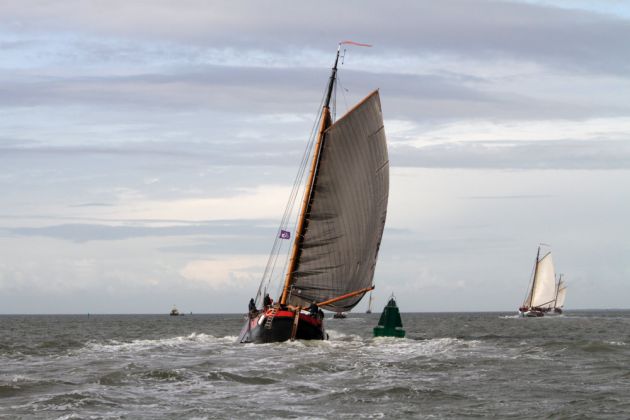 Das Brandaris Race - die traditionelle Regatta der historischen Segler zwischen Harlingen und Terschelling Das Brandaris Race - die traditionelle Regatta der historischen Segler zwischen Harlingen und Terschelling