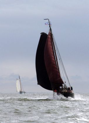 Das Brandaris Race - die traditionelle Regatta der historischen Segler zwischen Harlingen und Terschelling Das Brandaris Race - die traditionelle Regatta der historischen Segler zwischen Harlingen und Terschelling