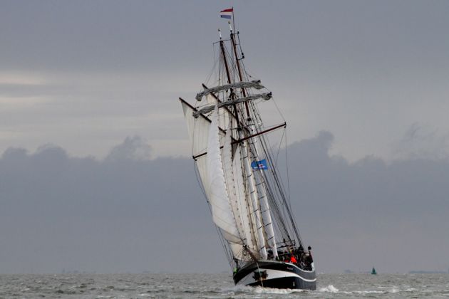 Das Brandaris Race - die traditionelle Regatta der historischen Segler zwischen Harlingen und Terschelling Das Brandaris Race - die traditionelle Regatta der historischen Segler zwischen Harlingen und Terschelling