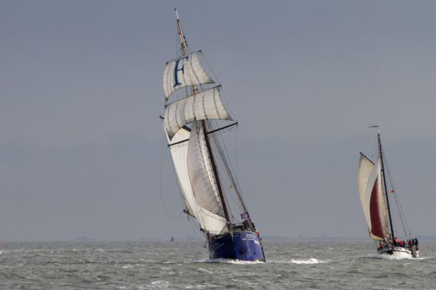 Das Brandaris Race - die traditionelle Regatta der historischen Segler zwischen Harlingen und Terschelling Das Brandaris Race - die traditionelle Regatta der historischen Segler zwischen Harlingen und Terschelling
