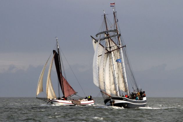 Das Brandaris Race - die traditionelle Regatta der historischen Segler zwischen Harlingen und Terschelling Das Brandaris Race - die traditionelle Regatta der historischen Segler zwischen Harlingen und Terschelling