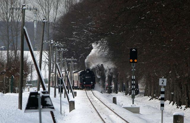 Die Mecklenburgische Bäderbahn Molli im Winter - der Dampfzug mit der Lok 99 2331-9 an der Doberaner Rennbahn
