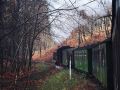 Die Rügensche Bäderbahn - der Dampfzug 'Rasender Roland'