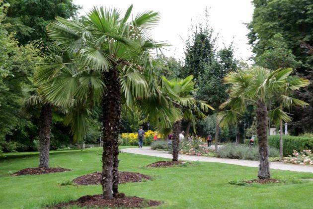 Bad Langensalza - ein Blick in den Kurpark Bad Langensalza - ein Blick in den Kurpark