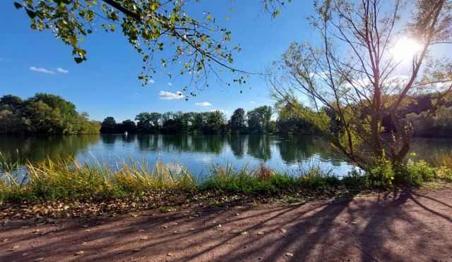 Mühlhausen, Thüringen - herbstliche Stimmung am Schwanenteich, dem beliebten Naherholungsziel Mühlhausen, Thüringen - herbstliche Stimmung am Schwanenteich, dem beliebten Naherholungsziel