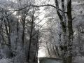 Rauhreif-Pracht am Moorwald - Winter-Impressionen in Neustadt am Rübenberge