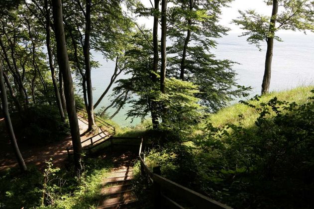 Møns Klint - der obere Klippenweg über den Kreidefelsen von Møn Møns Klint - der obere Klippenweg über den Kreidefelsen von Møn