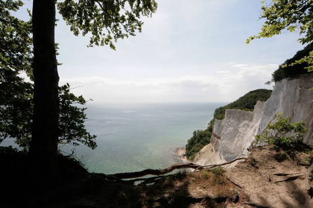 Møns Klint - der obere Klippenweg über den Kreidefelsen von Møn Møns Klint - der obere Klippenweg über den Kreidefelsen von Møn