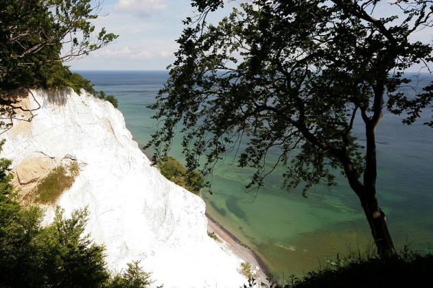 Møns Klint - die Kreidefelsen Møns von oben gesehen Møns Klint - die Kreidefelsen Møns von oben gesehen