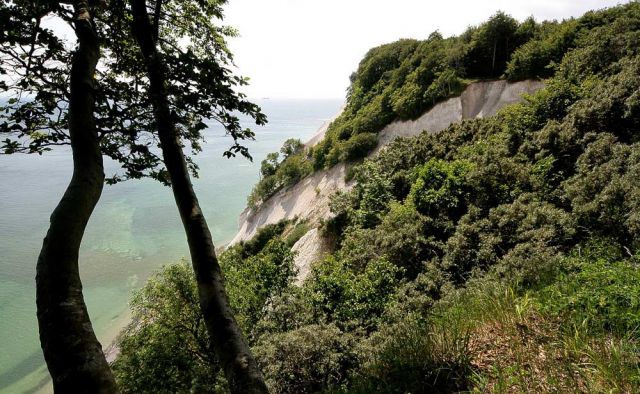 Møns Klint - Dänemark Møns Klint - Dänemark