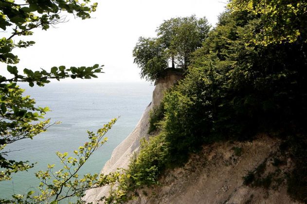 Møns Klint - Dänemark Møns Klint - Dänemark