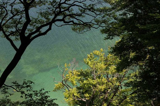 Møns Klint - die Kreidefelsen an der Ostküste der dänischen Insel Møn Møns Klint - die Kreidefelsen an der Ostküste der dänischen Insel Møn