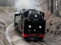 Die Zittau-Oybin-Jonsdorfer-Eisenbahn - Einfahrt des Dampfzuges mit der 99 758 in Bertsdorf aus Oybin kommend