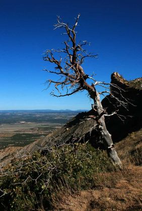 Rundreise USA der Westen -  Montezuma Valley Overlook - Mesa Verde National Park, Colorado