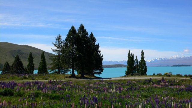 Lake Tekapo - Neuseeland Lake Tekapo - Neuseeland