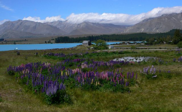 Lake Tekapo - Neuseeland Lake Tekapo - Neuseeland