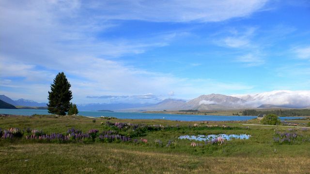 Lake Tekapo - Neuseeland Lake Tekapo - Neuseeland