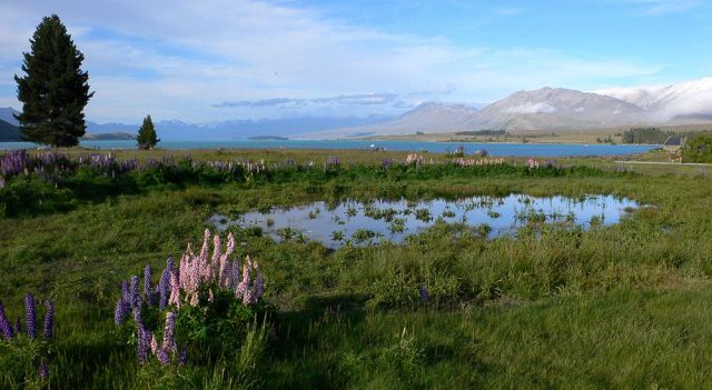 Lake Tekapo - Neuseeland Lake Tekapo - Neuseeland