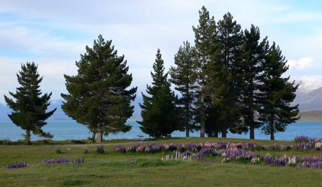 Lake Tekapo - Neuseeland Lake Tekapo - Neuseeland