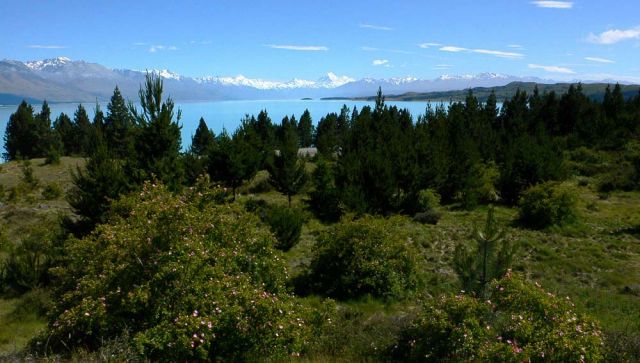Lake Pukaki - Neuseeland Lake Pukaki - Neuseeland