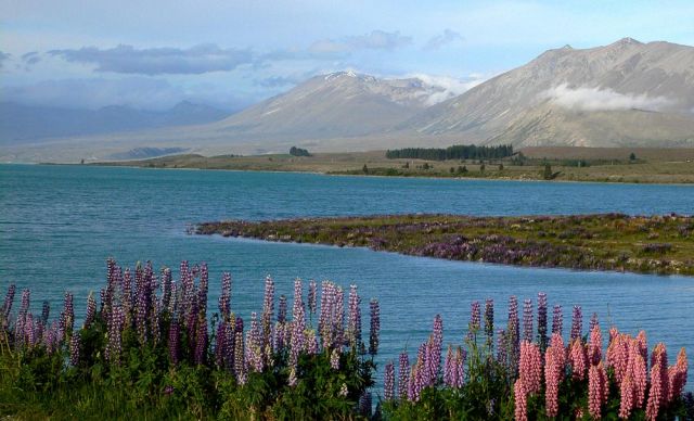 Lake Tekapo - Neuseeland Lake Tekapo - Neuseeland