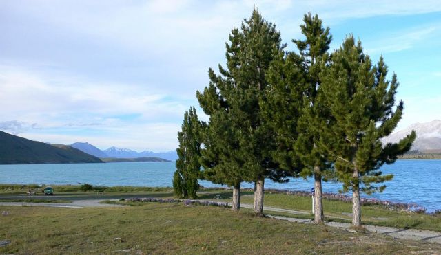 Lake Tekapo - Neuseeland Lake Tekapo - Neuseeland