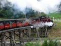 Unser Zug auf der Trestle Bridge bei Belgrave - Puffing Billy Railway
