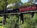 Puffing Billy - Dampfzug mit Garratt C 42 Gelenk-Lokomotive am Ferngully auf der Trestle Bridge bei Belgrave