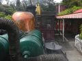 The Historic Bush Tramway - Shantytown Heritage Park, Greymouth, New Zealand