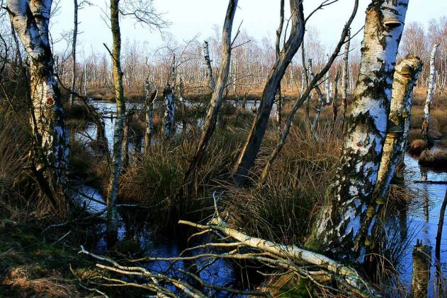Neustadt am Rübenberge - Totes Moor Neustadt am Rübenberge - Totes Moor