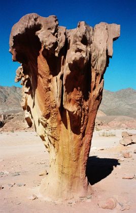 Die Wüste auf der Halbinsel Sinai in Ägypten - eine erodierte Felsformation im Wadi Gazala