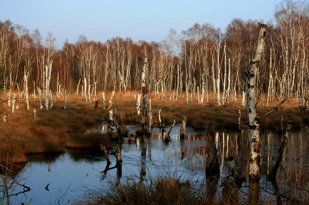 Neustadt am Rübenberge - Totes Moor Neustadt am Rübenberge - Totes Moor