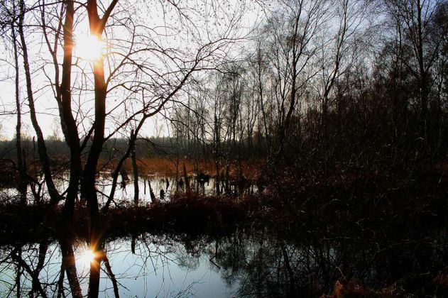 Neustadt am Rübenberge - Totes Moor Neustadt am Rübenberge - Totes Moor