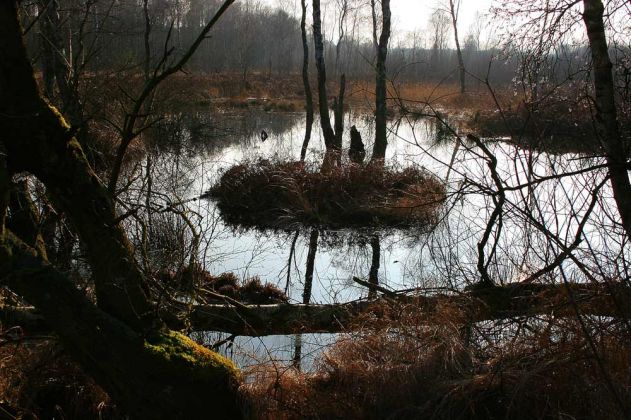 Neustadt am Rübenberge - Totes Moor Neustadt am Rübenberge - Totes Moor