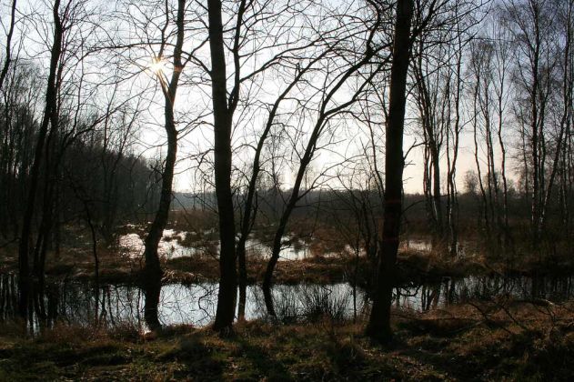 Neustadt am Rübenberge - Totes Moor Neustadt am Rübenberge - Totes Moor
