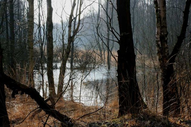 Neustadt am Rübenberge - Totes Moor Neustadt am Rübenberge - Totes Moor