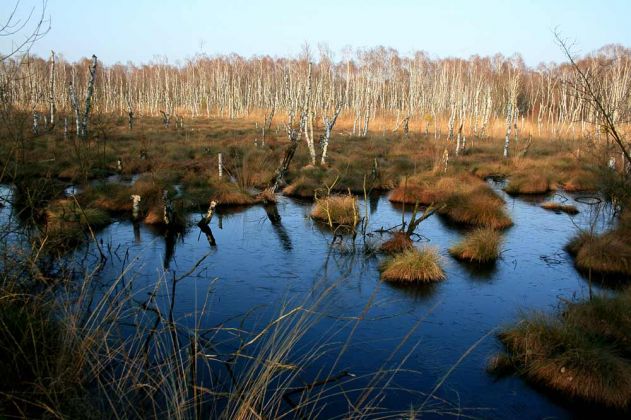 Neustadt am Rübenberge - Totes Moor Neustadt am Rübenberge - Totes Moor