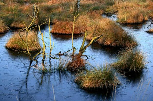 Neustadt am Rübenberge - Totes Moor Neustadt am Rübenberge - Totes Moor