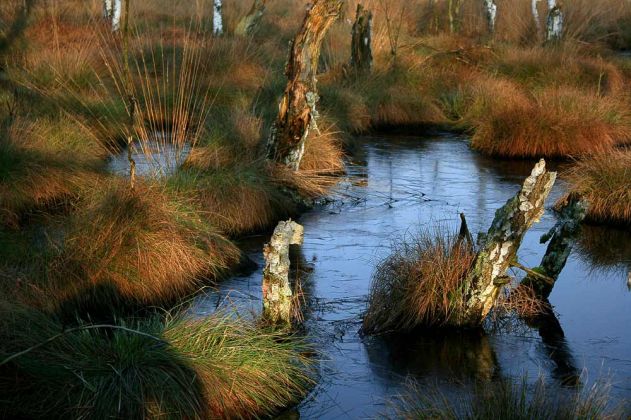 Neustadt am Rübenberge - Totes Moor Neustadt am Rübenberge - Totes Moor